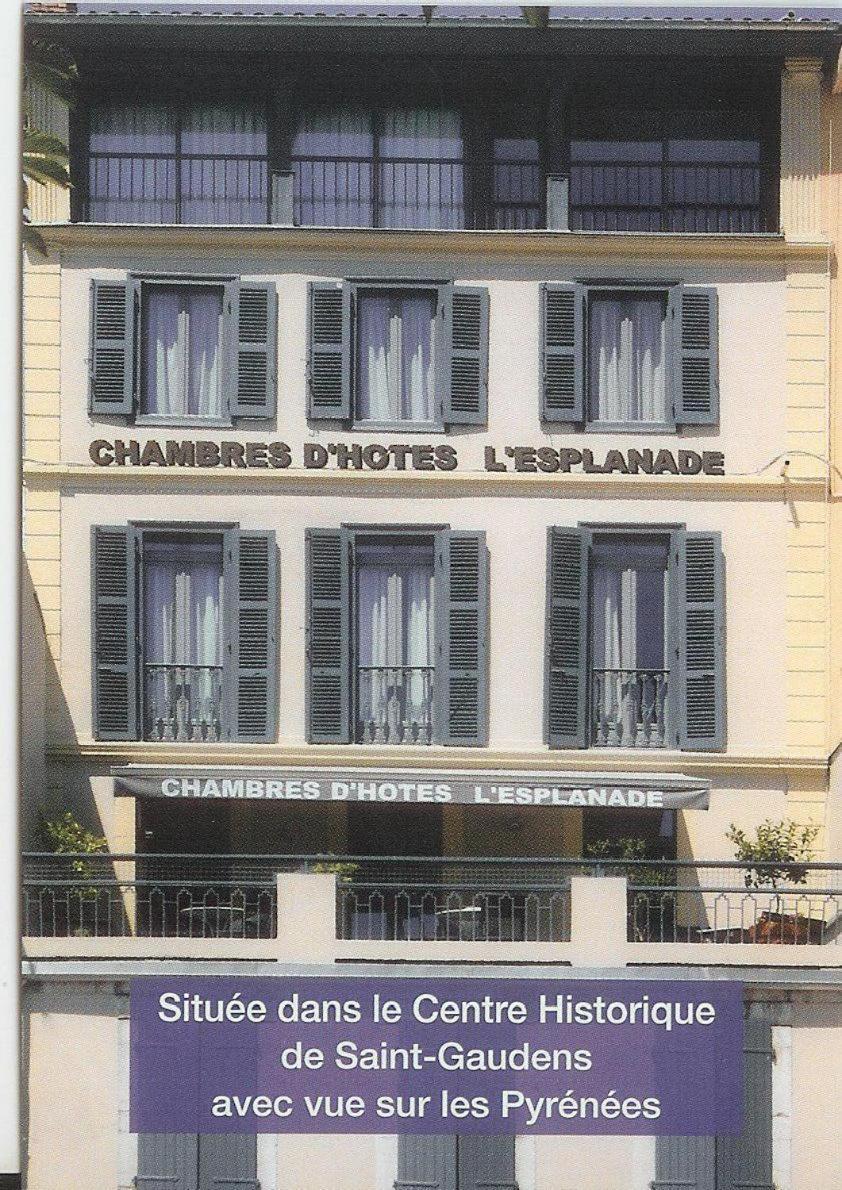Maison De L'Esplanade Saint Gaudens Dış mekan fotoğraf